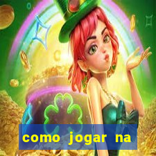 como jogar na lotinha do jogo do bicho